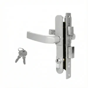 CERRADURA EURO PTV PLOMO